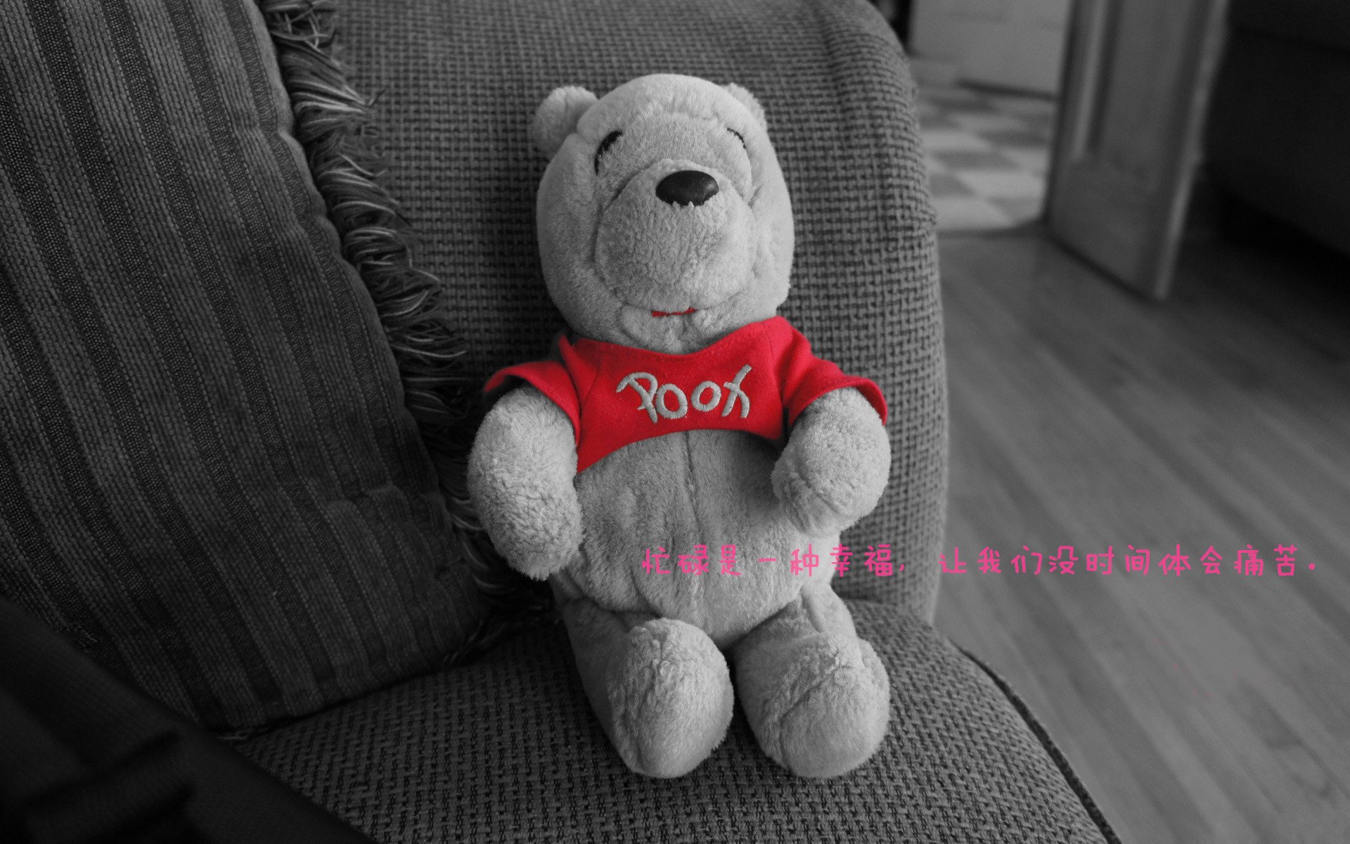 _青少年运动趣味嘉年华:培养运动习惯的趣味盛事_,青少年趣味运动会新闻稿