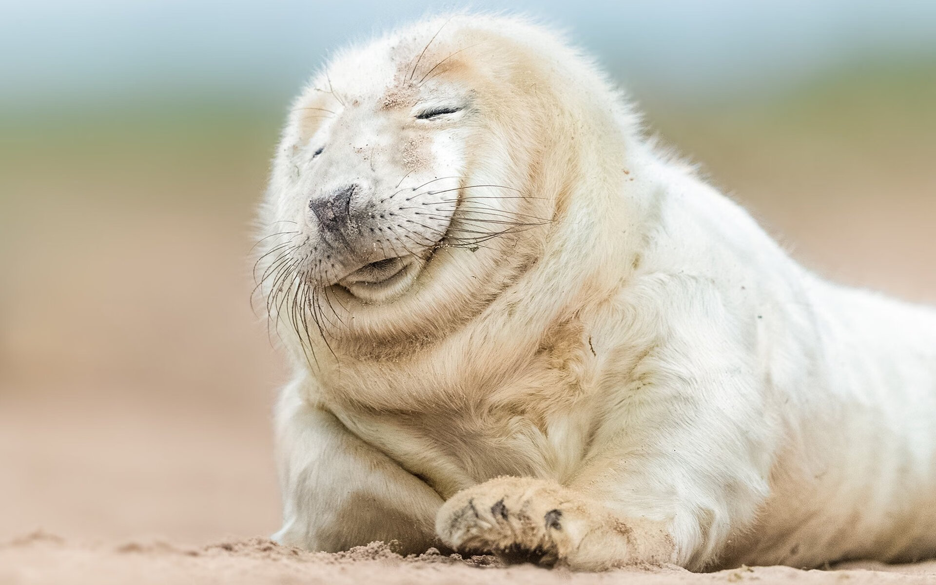 “校园足球比赛激发青少年兴趣,推动全民体育”,青少年校园足球实施意见