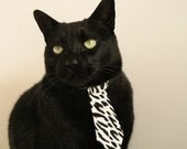 “青少年足球公益跑活动引领全民健身热潮”,足球公益活动标语