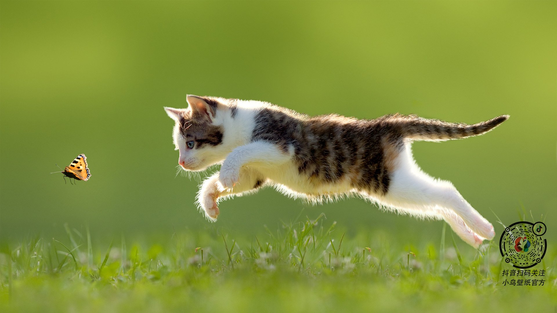 《明星电子竞技解说:带你领略每场激战的精彩!》,明星x电竞选手