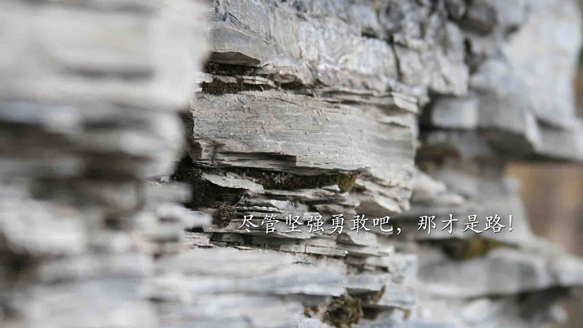 现场氛围热烈:球迷欢呼不断,气氛火爆!,球队气氛