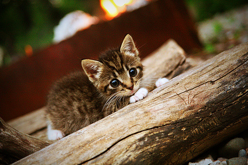 科技革新:虚拟训练、智能传感设备让球员飞跃提升,虚拟训练技术