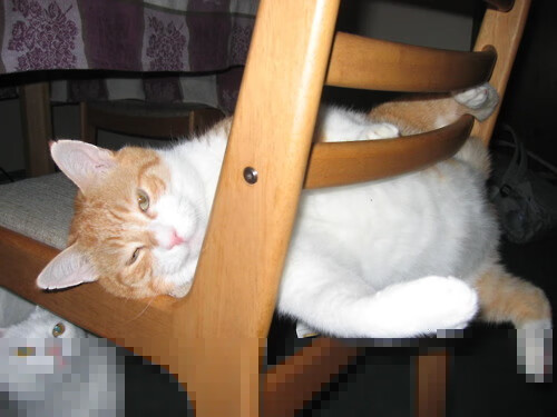 西甲“天价转会”再现,市场活跃度提升,西甲转会最新全一览