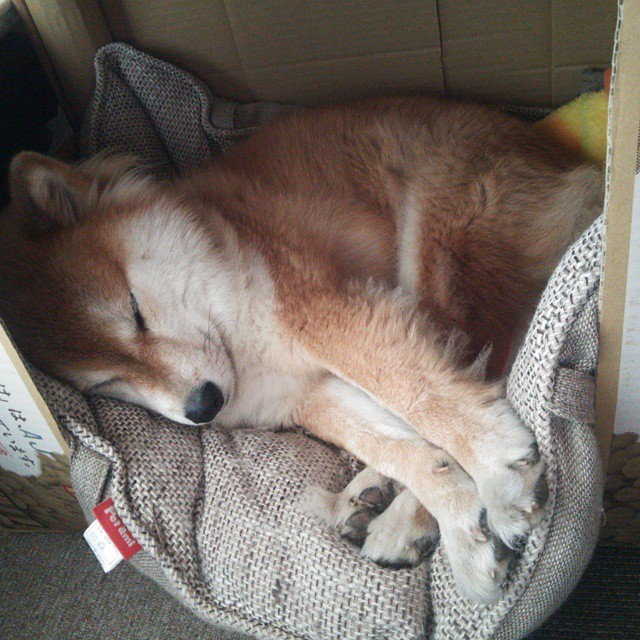 足球文化节掀起全民足球热潮,推动运动普及,足球文化节征文美篇