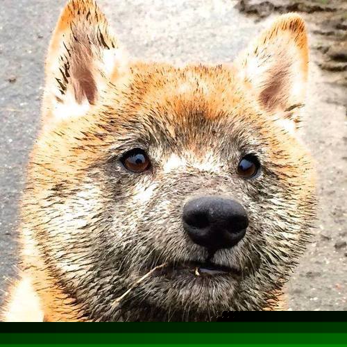 TES完成季前封闭集训,聚焦战术配合提升,tes训练基地在哪