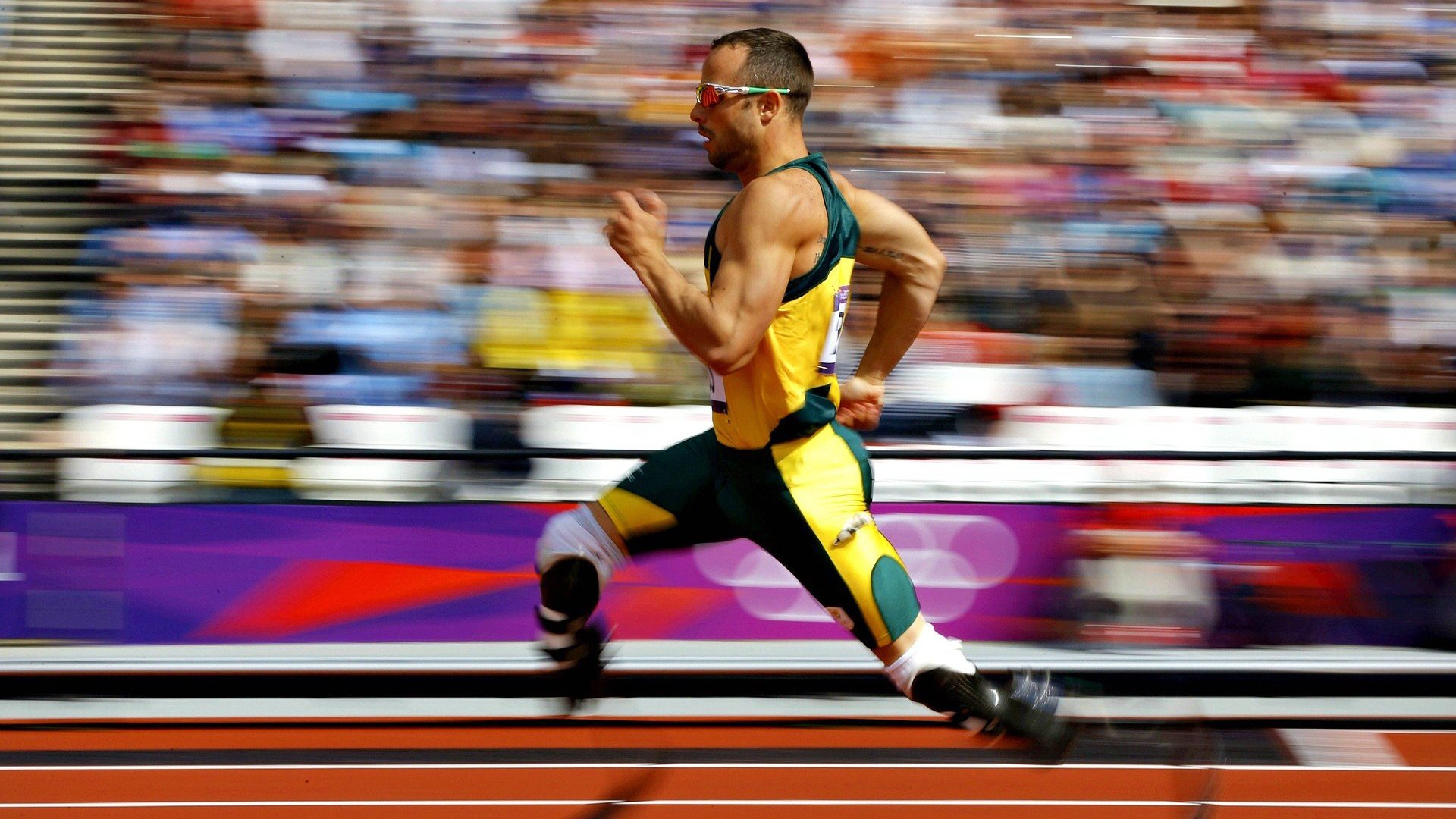 体育产业发展与高校体育人才培养对接机制，我国体育人才的培养模式