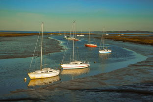 九游app-兴隆湖上演“国际艇战”，多国精英争锋